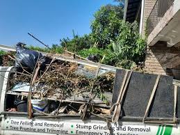 Professional Junk Removal Services in Auburn, MI