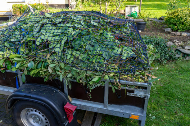 Best Electronics and E-Waste Disposal  in Auburn, MI